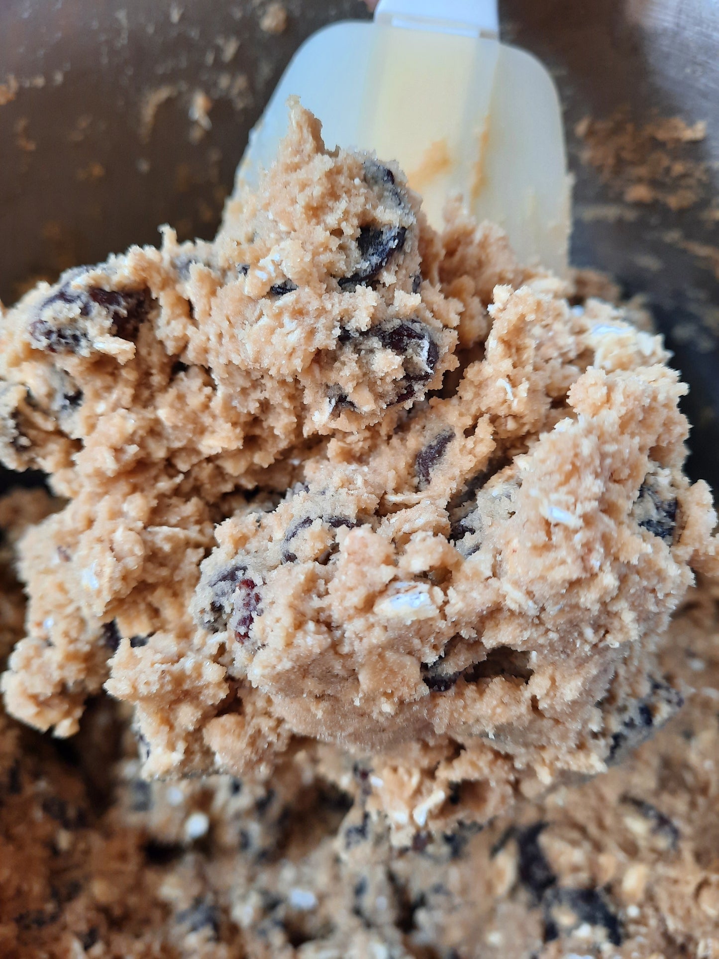Oatmeal Cookies with Bittersweet Chocolate Chips & Dried Cherries - Take & Bake (6 portions)
