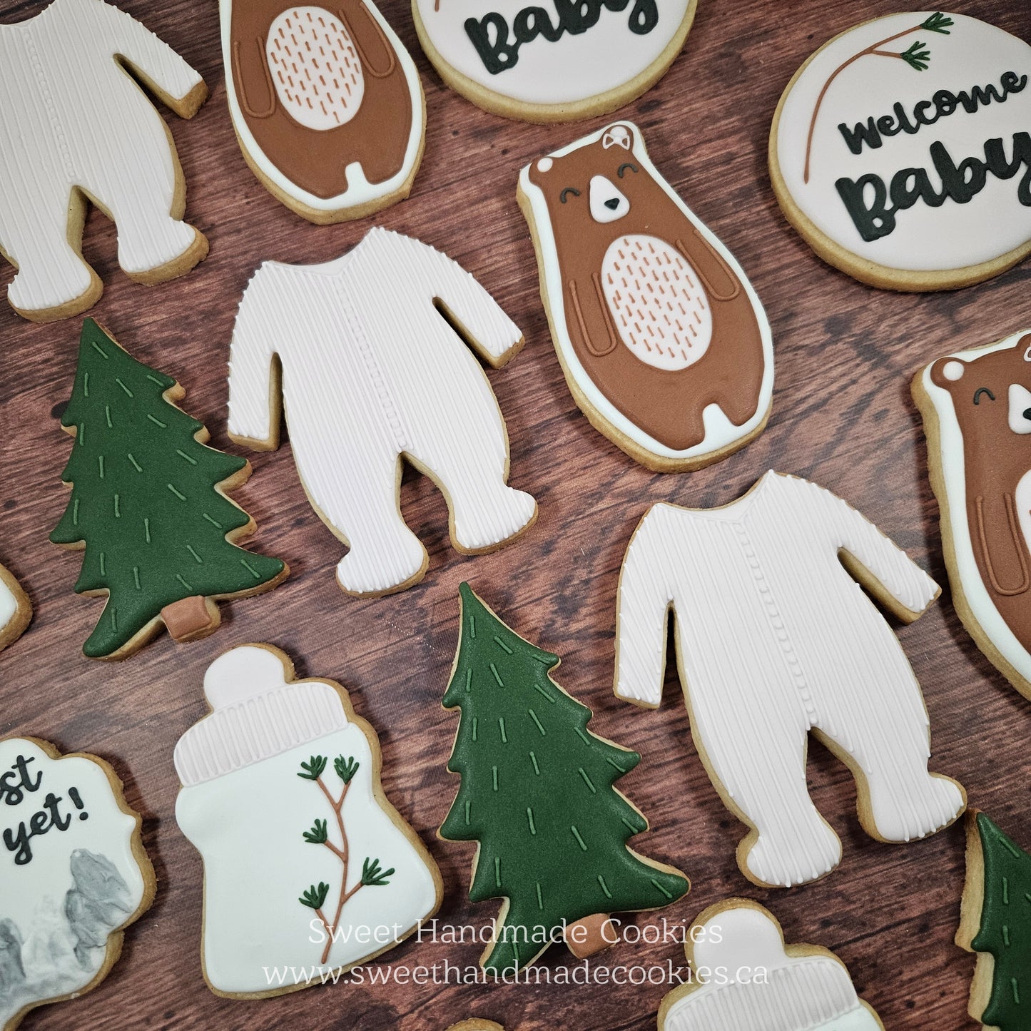 Baby Shower Cookies - Our Greatest Adventure Yet