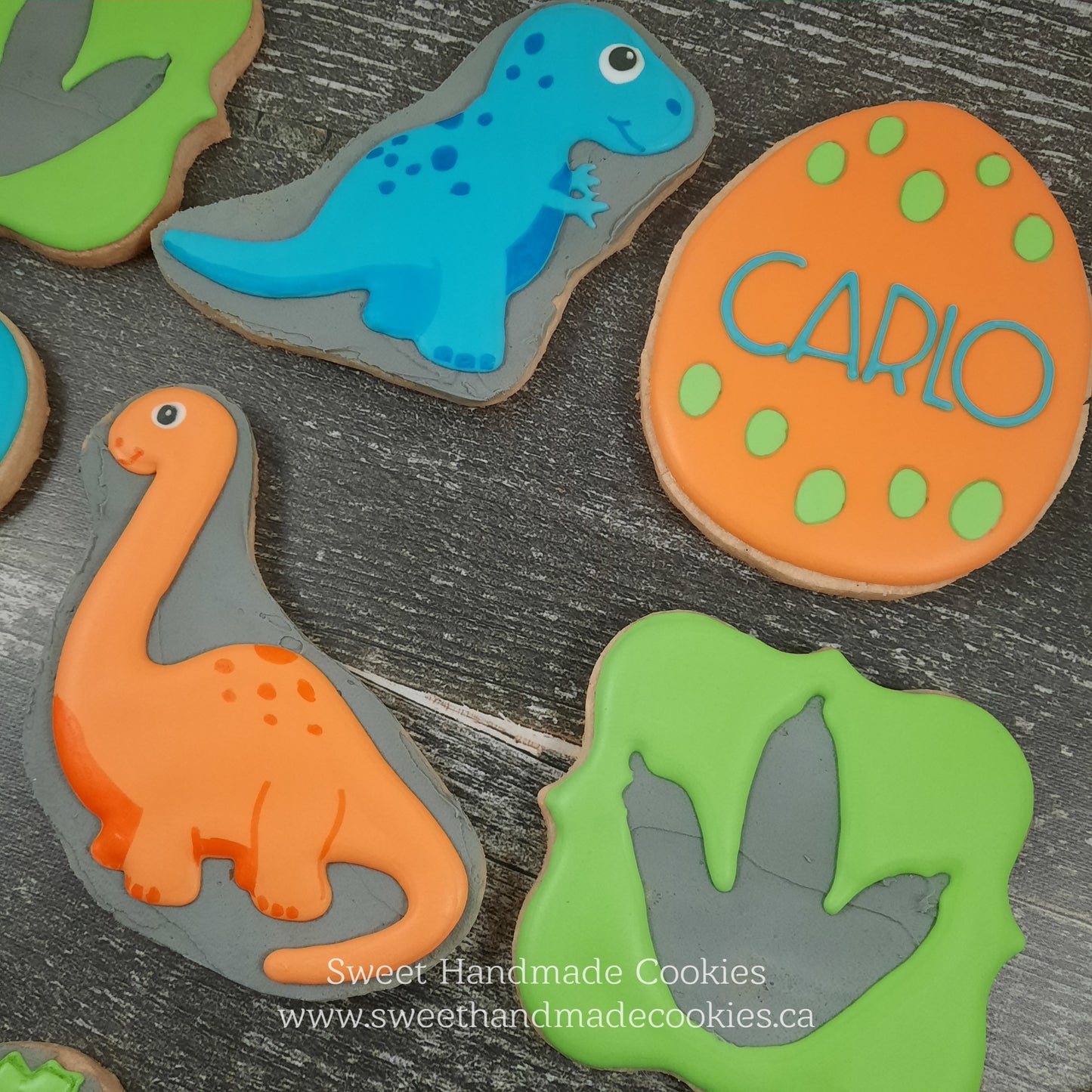 Dinosaur Cookies for Carlo Turning 3