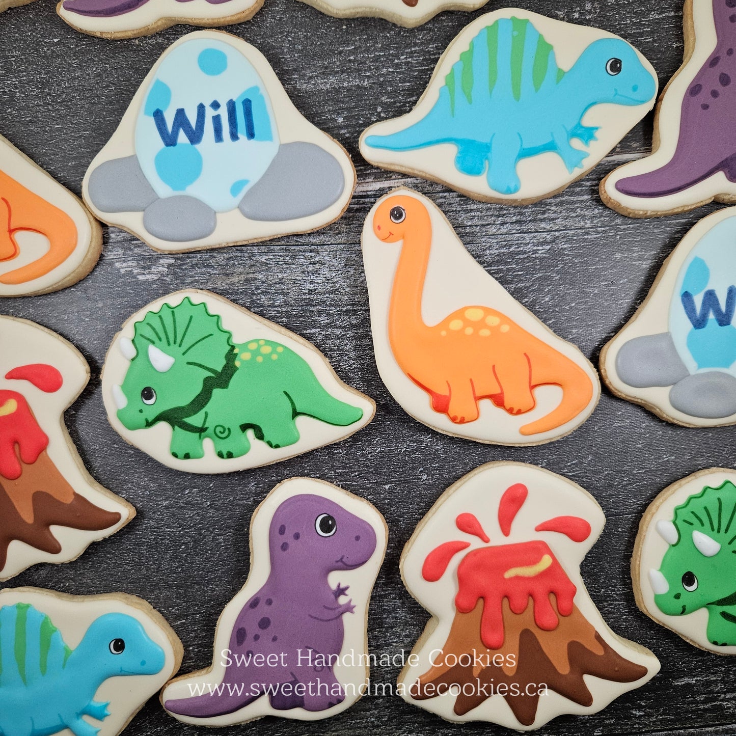 Dinosaur Cookies for Will