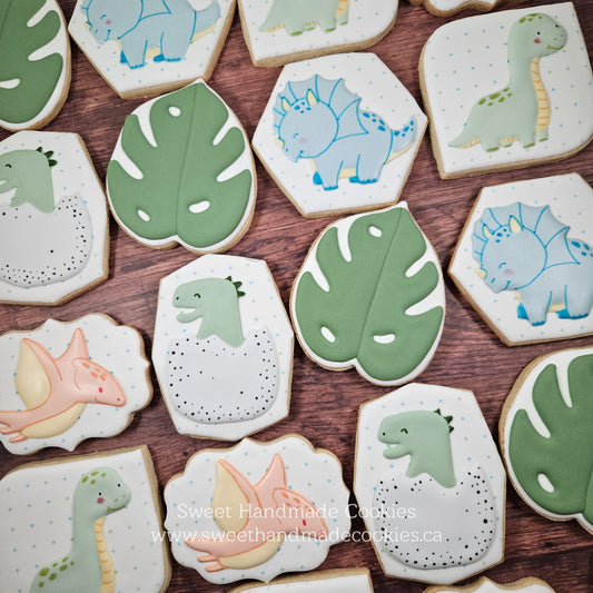 Baby Shower Cookies - Baby Dinosaurs