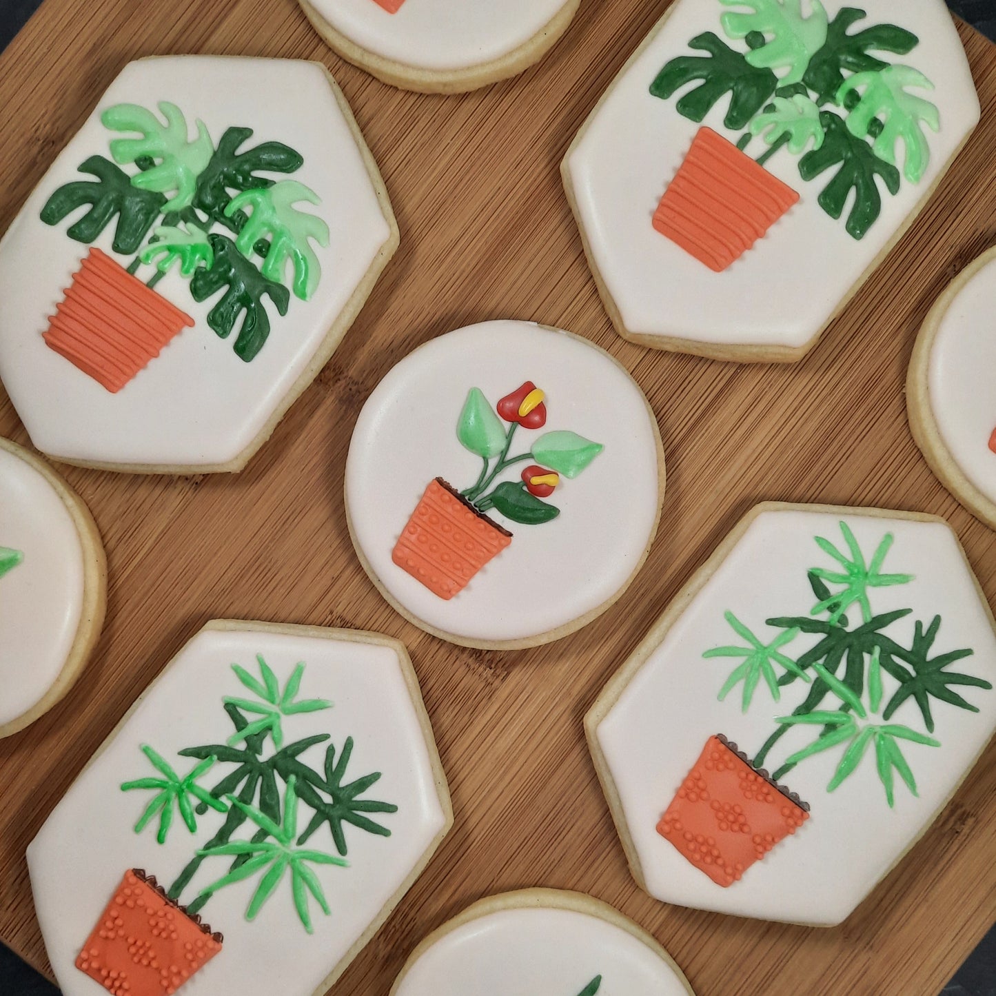 Houseplant Cookies - Orange Pots