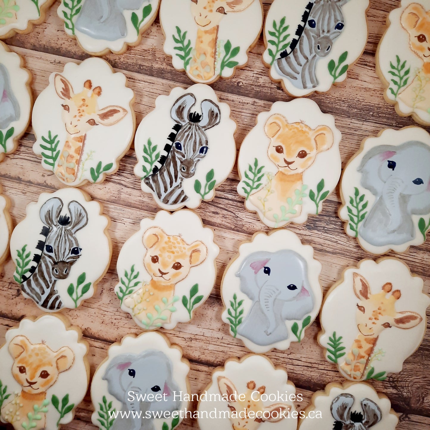 Baby Shower Cookies - Baby Jungle Animals