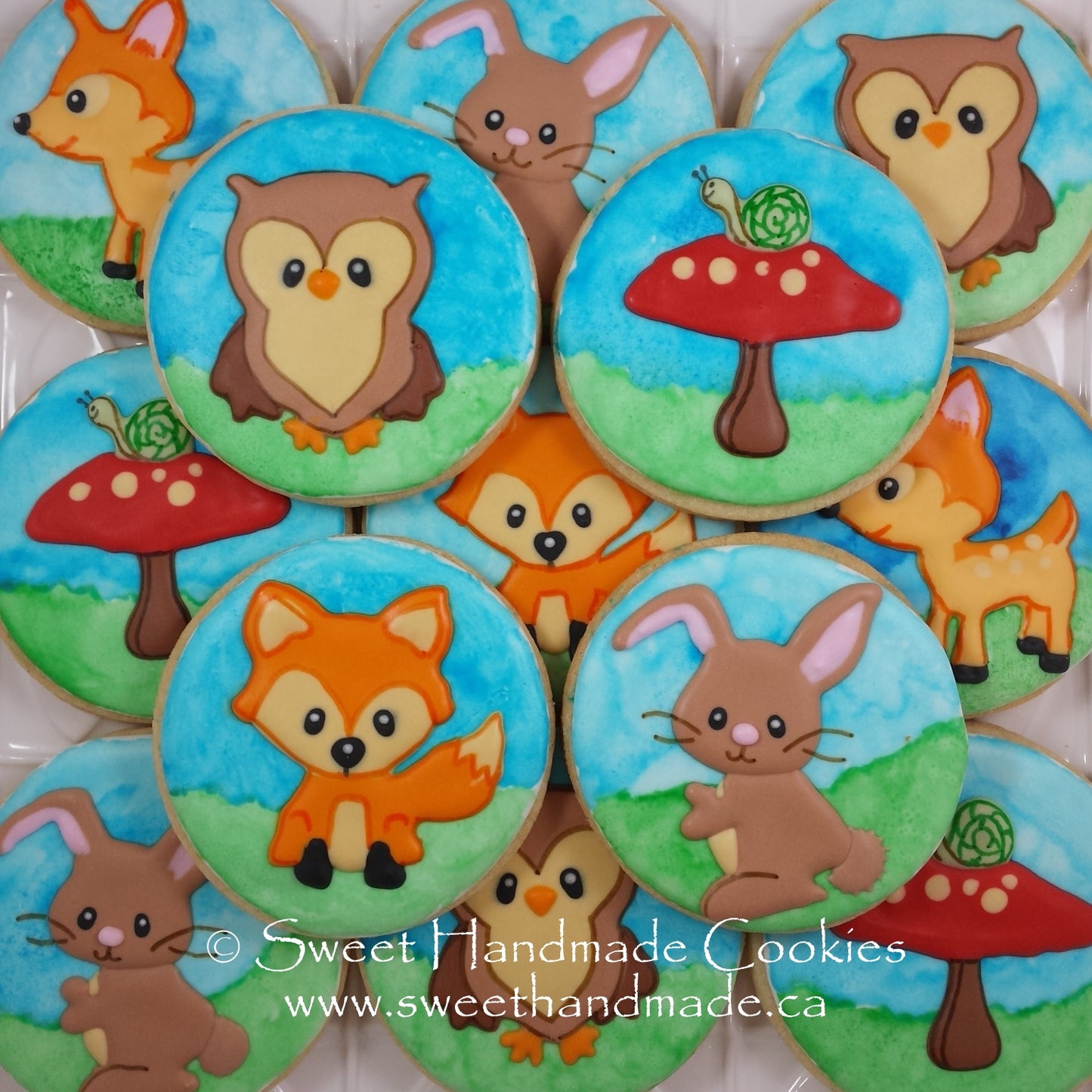 Baby Shower Cookies - Woodland Animals
